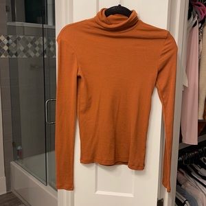 Brown/Beige Long Sleeve Turtleneck